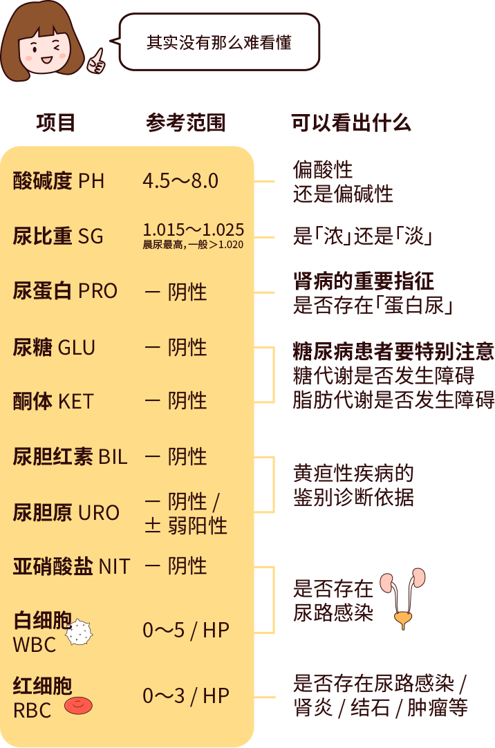 排尿黃、異味大，可能是身體在報警！